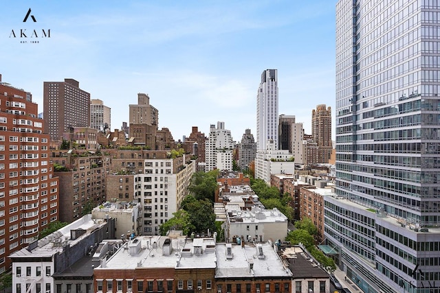 300 E 74th St Unit 15-E, New York City, NY 10021 - skyline view