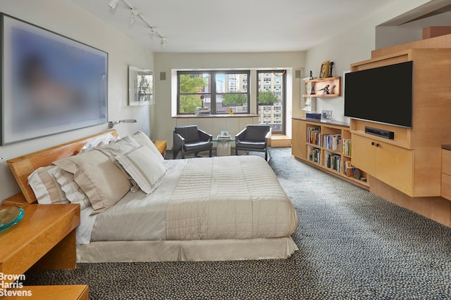 510 E 86th St Unit 17C, New York City, NY 10028 - carpeted bedroom with rail lighting
