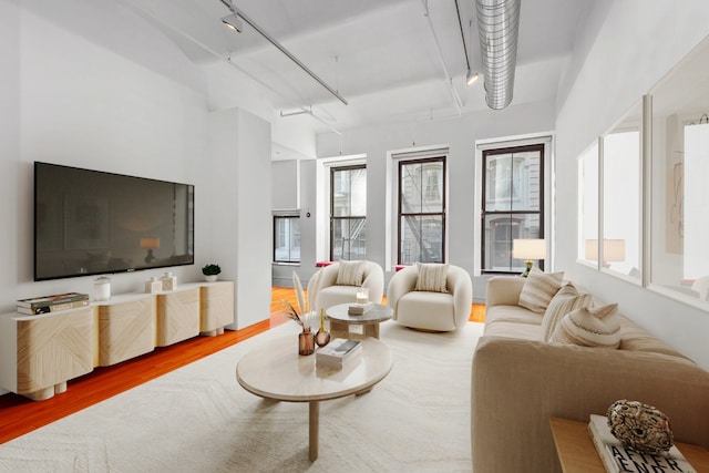 114 Mercer St Unit Unit2, New York City, NY 10012 - living area with track lighting and wood finished floors