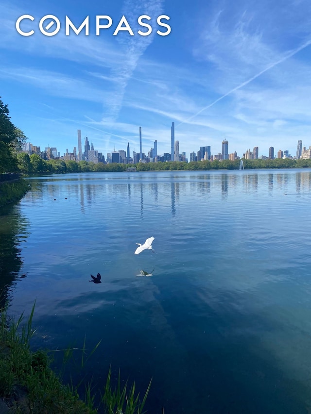 49 E 96th St Unit 4D, New York City, NY 10128 - water view with skyline