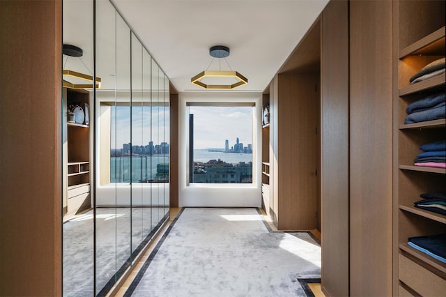 551 W 21st St Unit 16-B, New York City, NY 10011 - corridor featuring a city view and built in features