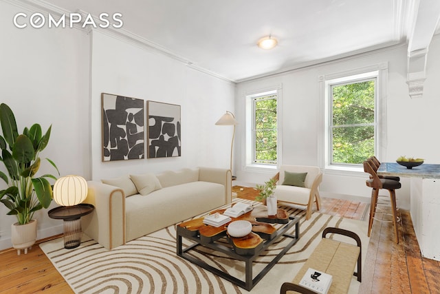 64 Clifton Place, New York City, NY 11238 - living room featuring ornamental molding, wood-type flooring, and baseboards
