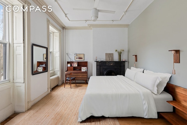 198 6th Ave, New York City, NY 10013 - bedroom featuring track lighting, radiator, light wood-style flooring, a fireplace, and ceiling fan