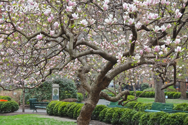 44 Gramercy Park N Unit 6F, New York City, NY 10010 - view of property's community