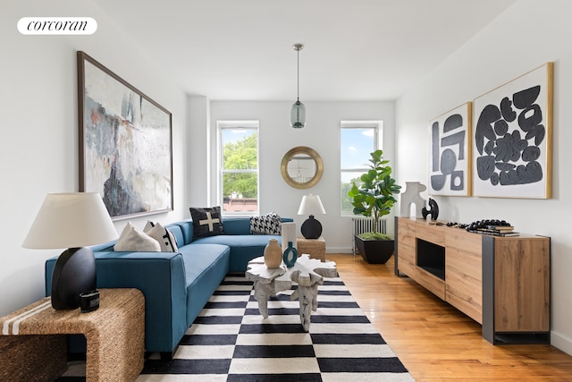 415 9th St Unit 41, New York City, NY 11215 - living room with light wood-style floors and radiator