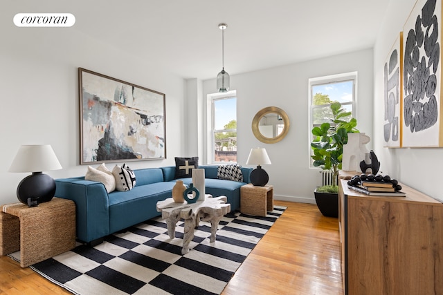 415 9th St Unit 41, New York City, NY 11215 - living room with light wood-type flooring and baseboards