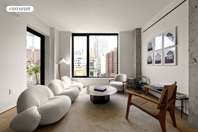 9 Chapel St Unit 9A, New York City, NY 11201 - living area featuring healthy amount of natural light and a city view