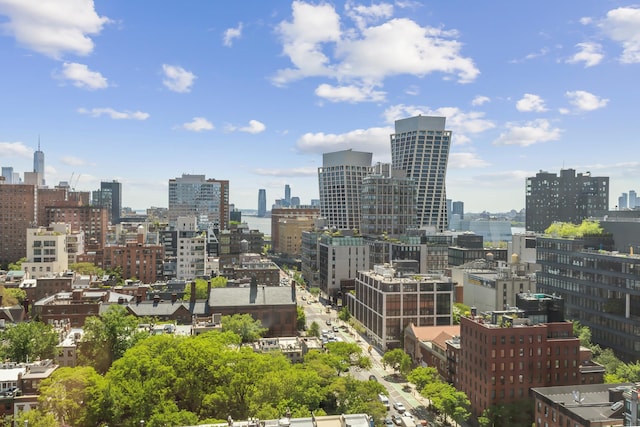 465 W 23rd St Unit 19D, New York City, NY 10011 - skyline view