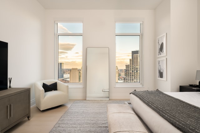 30 Park Pl Unit 60B, New York City, NY 10007 - bedroom featuring multiple windows and light wood finished floors