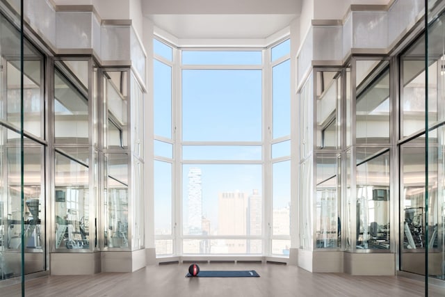 30 Park Pl Unit 60B, New York City, NY 10007 - gym with a wall of windows and wood finished floors