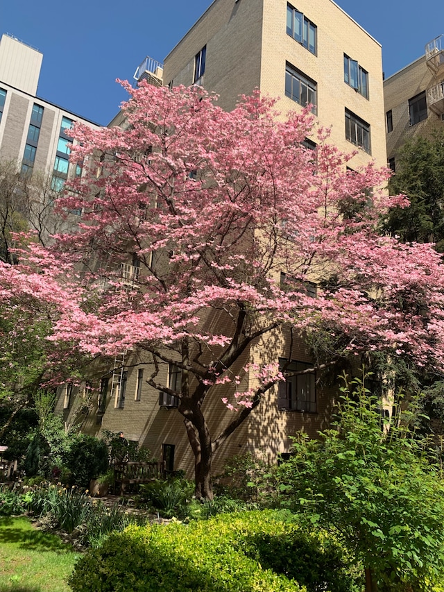 250 W 24th St Unit 1Cw, New York City, NY 10011 - view of property