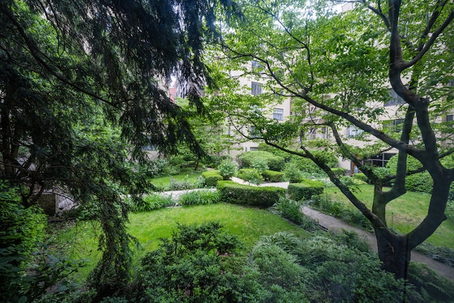 250 W 24th St Unit 1Cw, New York City, NY 10011 - view of grassy yard