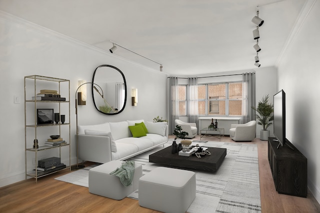 400 E 56th St Unit 31J, New York City, NY 10022 - living area with rail lighting, ornamental molding, and wood finished floors