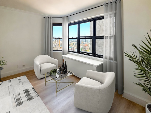 400 E 56th St Unit 31J, New York City, NY 10022 - living area with light wood-style floors