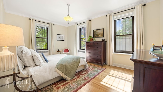 20 Plaza St E Unit A-8, New York City, NY 11238 - bedroom featuring light wood-type flooring, crown molding, and baseboards