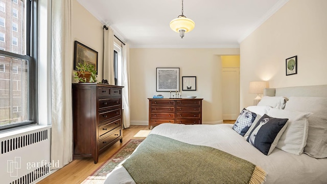 20 Plaza St E Unit A-8, New York City, NY 11238 - bedroom with radiator, light wood finished floors, multiple windows, and crown molding