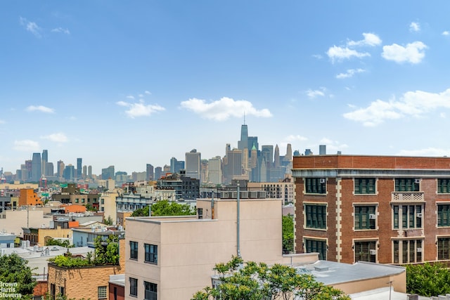 353 20th St Unit Th, New York City, NY 11215 - skyline view