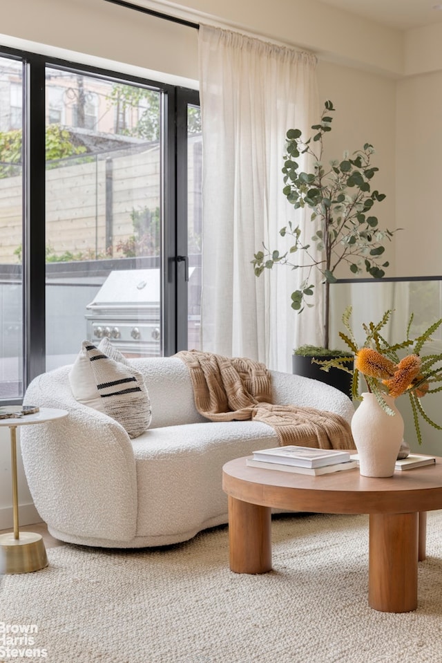 353 20th St Unit Th, New York City, NY 11215 - view of living area