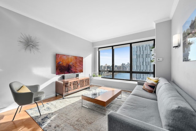 530 E 76th St Unit 20B, New York City, NY 10021 - living area with crown molding and baseboards