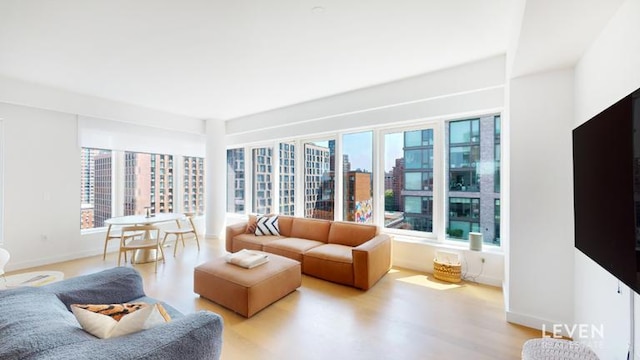 202 Broome St Unit 9M, New York City, NY 10013 - living room featuring light wood finished floors and baseboards