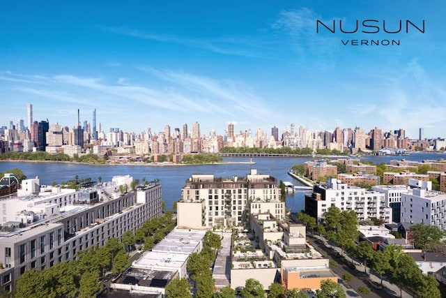 30-55 Vernon Blvd Unit 2P, New York City, NY 11102 - water view featuring city skyline