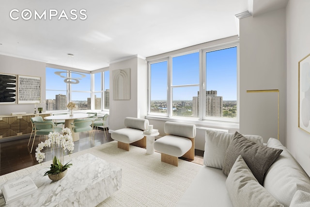 404 E 76th St Unit 30A, New York City, NY 10021 - living area with a city view, wood finished floors, and ornamental molding