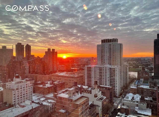 404 E 76th St Unit 30A, New York City, NY 10021 - view of city