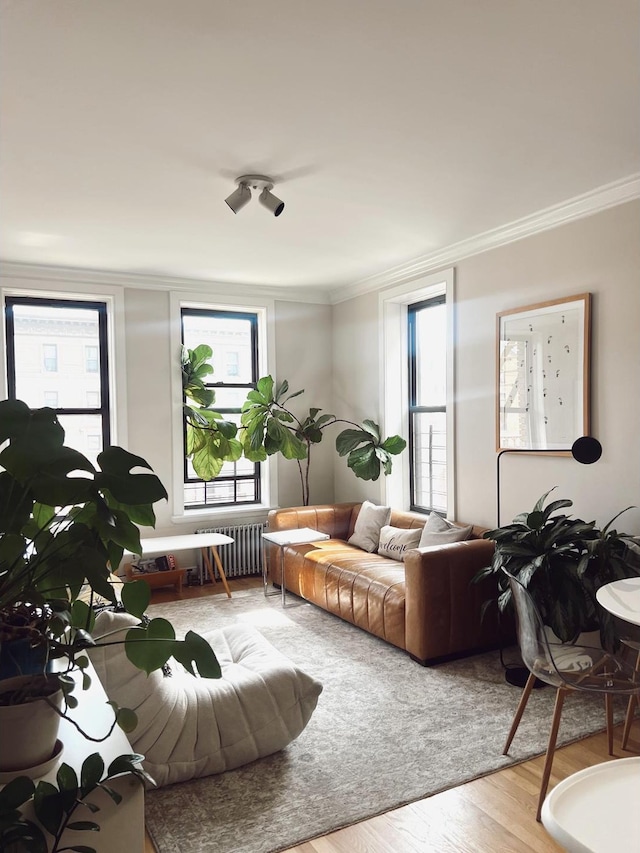 1890 Adam C Powell Blvd Unit 5C, New York City, NY 10026 - living room featuring ornamental molding, radiator heating unit, and wood finished floors
