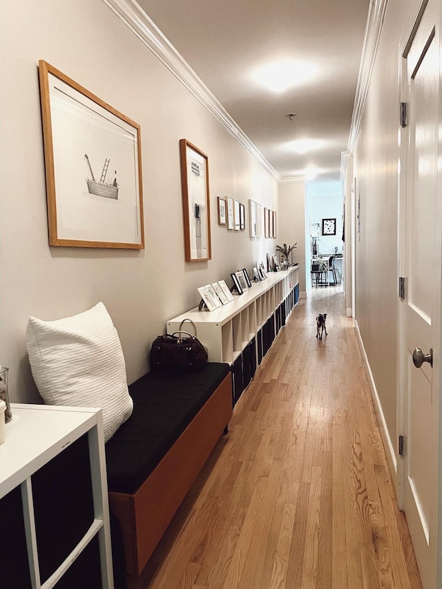 1890 Adam C Powell Blvd Unit 5C, New York City, NY 10026 - corridor with light wood finished floors and crown molding