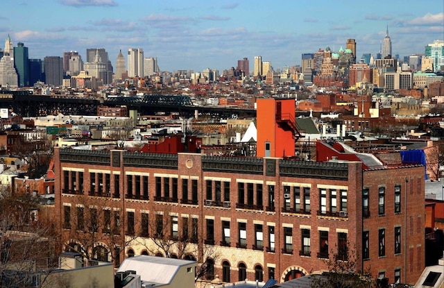 259 21st St Unit 1C, New York City, NY 11215 - view of city skyline