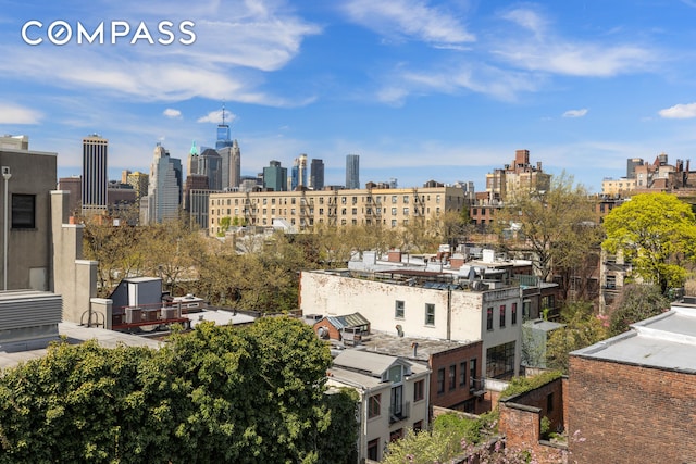 294 Hicks St Unit 2, New York City, NY 11201 - view of city skyline