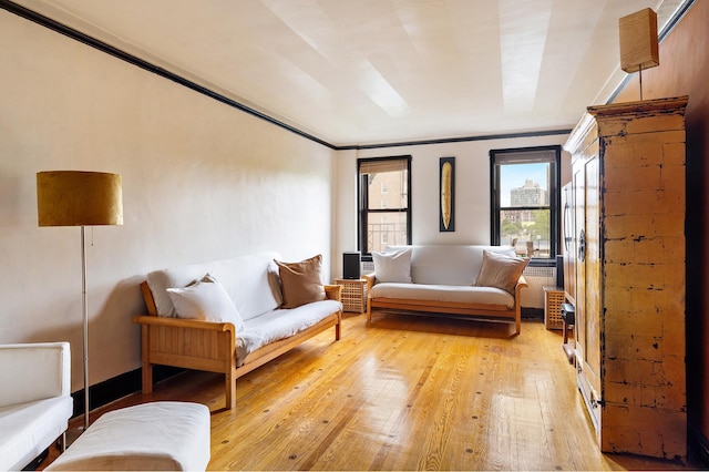 50 Lefferts Ave Unit 4F, New York City, NY 11225 - living area with light wood-type flooring and ornamental molding