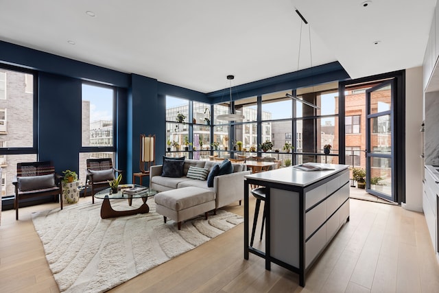 215 N 10th St Unit 4F, New York City, NY 11211 - living room with healthy amount of natural light, light wood-type flooring, and floor to ceiling windows