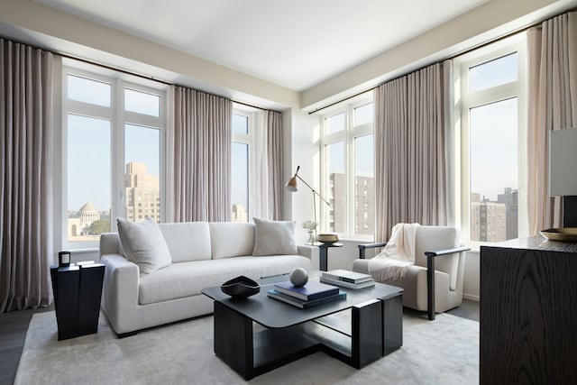 543 W 122nd St Unit 11A, New York City, NY 10027 - living room featuring healthy amount of natural light and a view of city