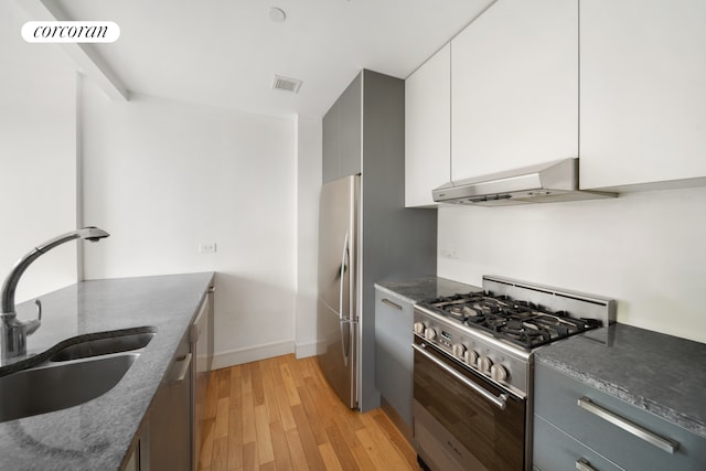 103 Quentin Rd Unit B503, New York City, NY 11223 - kitchen with appliances with stainless steel finishes, range hood, a sink, light wood-style floors, and white cabinets