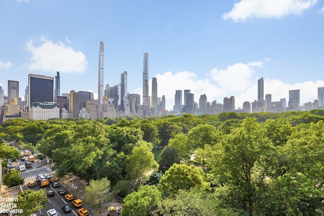 860 5th Ave Unit 11H, New York City, NY 10065 - view of city skyline