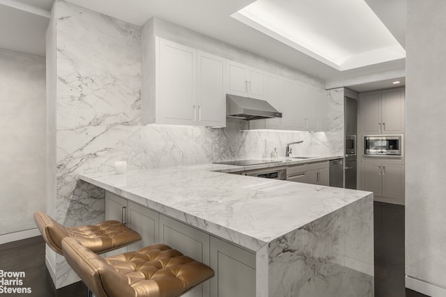 860 5th Ave Unit 11H, New York City, NY 10065 - kitchen featuring under cabinet range hood, stainless steel appliances, light stone counters, a peninsula, and baseboards