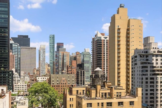216 E 47th St Unit 12A, New York City, NY 10017 - view of city skyline