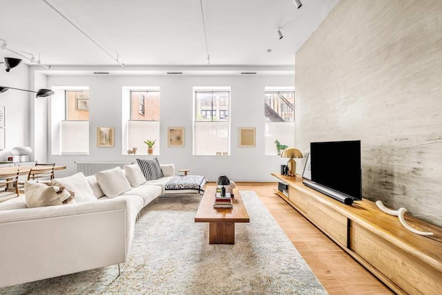 30 E 21st St Unit 3B, New York City, NY 10010 - living area with light wood-style floors