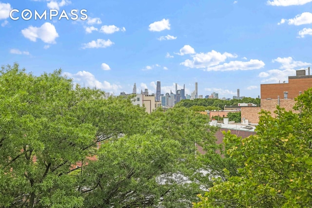 90 Herbert St Ph, Ph, New York City, NY 11222 - view of city skyline