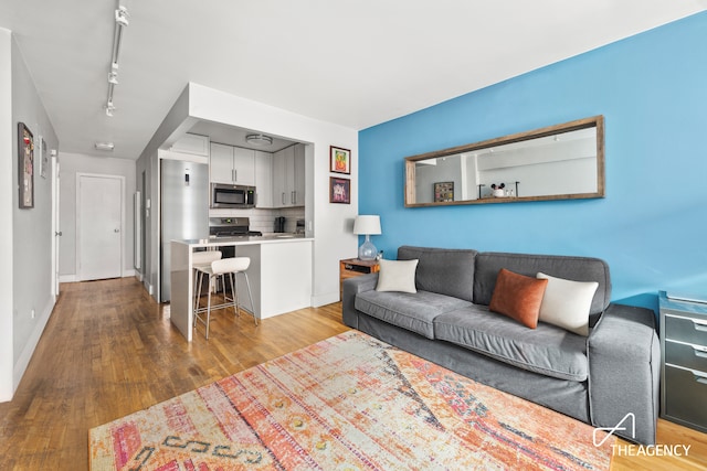 229 E 28th St Unit 4K, New York City, NY 10016 - living area featuring rail lighting and wood finished floors