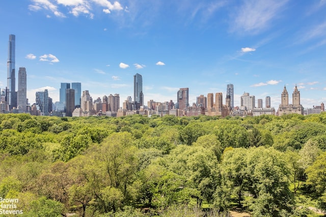 956 5th Ave Unit 11Thfloor, New York City, NY 10075 - skyline view