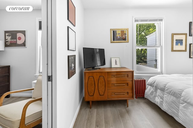 21 E 4th St, New York City, NY 11218 - bedroom featuring light wood-style flooring and radiator heating unit