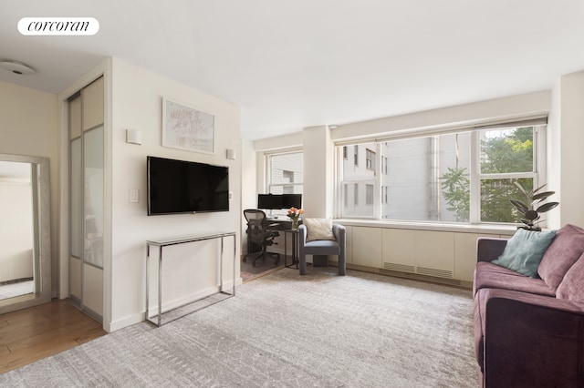 115 E 9th St Unit 6M, New York City, NY 10003 - living area featuring a desk and light wood finished floors