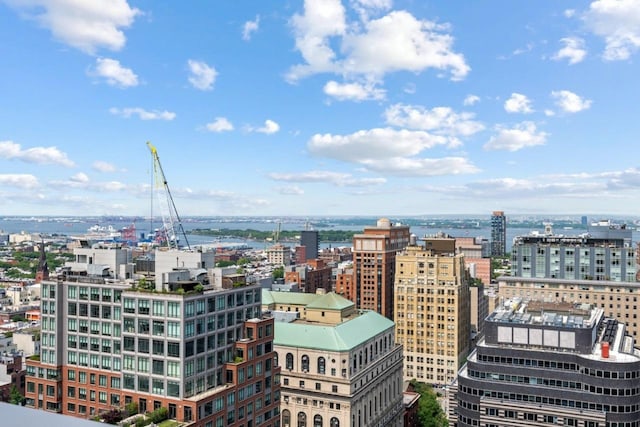 189 Schermerhorn St Unit 16C, New York City, NY 11201 - view of city