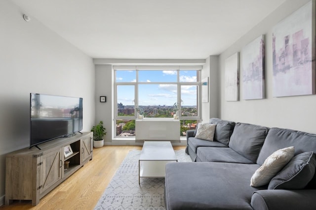 189 Schermerhorn St Unit 16C, New York City, NY 11201 - living room with light wood-style floors
