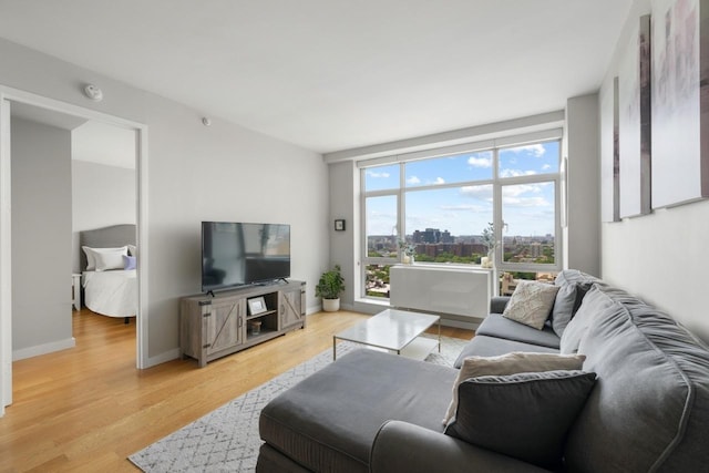 189 Schermerhorn St Unit 16C, New York City, NY 11201 - living room with light wood-style flooring and baseboards