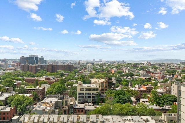 189 Schermerhorn St Unit 16C, New York City, NY 11201 - view of urban area