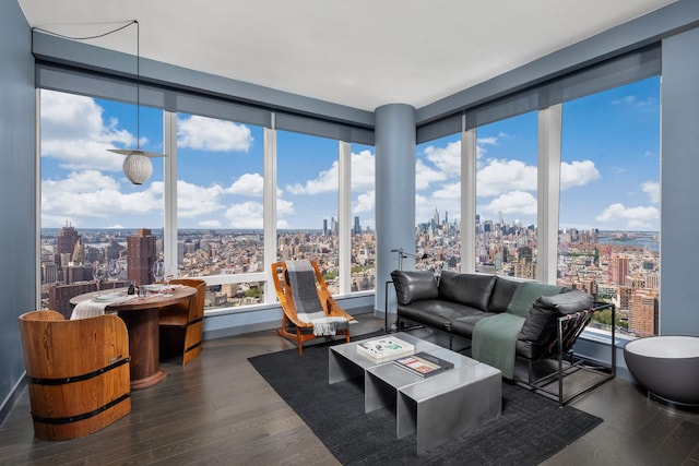 252 S St Unit 27L, New York City, NY 10002 - living area with a city view and dark wood finished floors