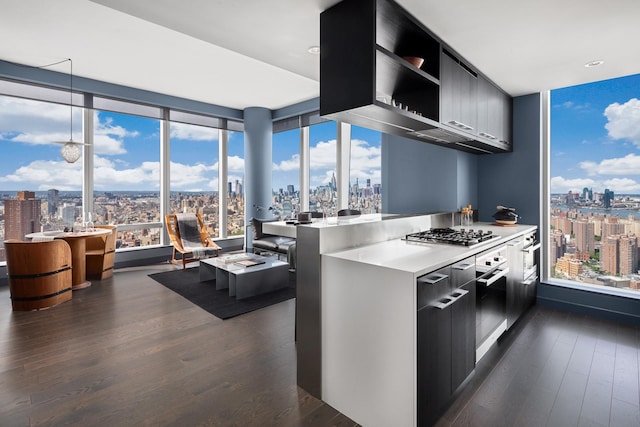 252 S St Unit 27L, New York City, NY 10002 - kitchen featuring a city view, modern cabinets, stainless steel appliances, open shelves, and floor to ceiling windows